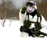 cat army unite