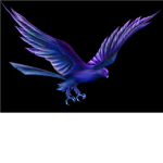 The Night Hawk