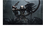 'The Yautja'