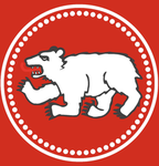 Zheleznaya Druzhyna