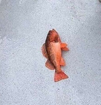 Lynifted