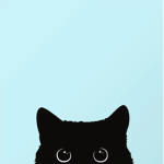 RenoCat Productions