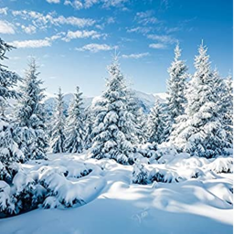 Battle Grounds (Snowy map)