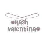 kash & valentina necklace