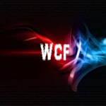 World Champoinship Federatoin