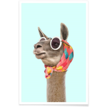llama boutique