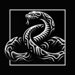 Special Collection Service [NSA]