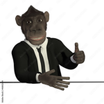 The-FunkyMonkeys
