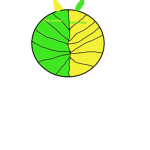 The Lemon Lime Tribe