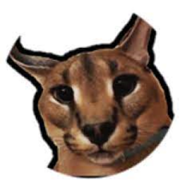 encuentra los 5 floppas