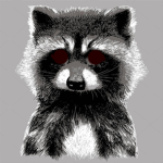 R4CCOON CULT