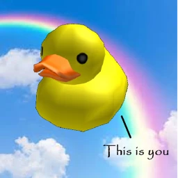 duck icon