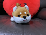 ゆうきTikTok