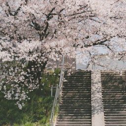 ˃̵ᴗ˂̵