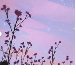 The pink flower squad