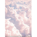 CloudyxAlexa