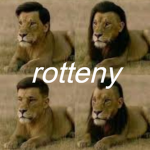 rotteny foundation