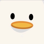 Theduckguyya Games