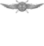 Arc angels