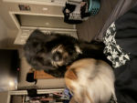Isaac and Reggie