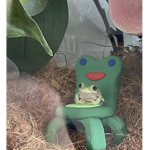 froggyxrose