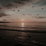 SunBase
