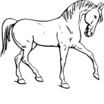 We love horses!