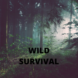 Terrain Survival