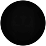 Secret Character VIII