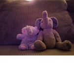 The elephant group I love elephant