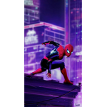 The Spider-Man’s crew