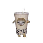 .BubbleTeaGroup.