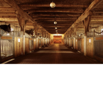 Hogwarts Stable