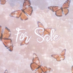 Small Soft Aesthetic Homestore for Sale