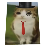 British Meowl Cape