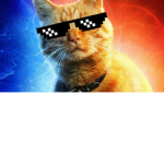 Colt’s Cat family