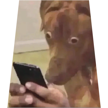 Meme Dog Funny Staring At Phone Cape