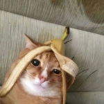 SlannysUGC
