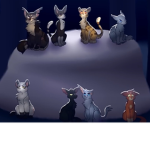 Moonclan a light in the night