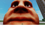 gdfjhidf