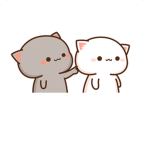 Kitty anime squad!