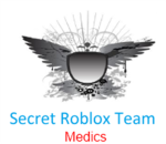 Secret Roblox Team Medics