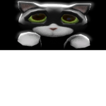 kitty army!!!!!!!