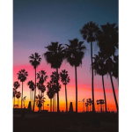 treeleafx