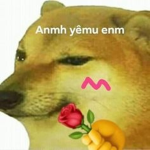 Shiba Team <3