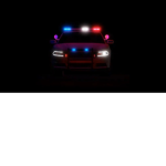 The roblox police/military group.