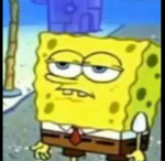 SPONGES UGC