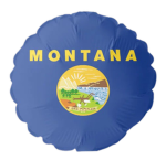 Montana State RP | Strict Staff group