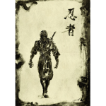 the black shinobi karate
