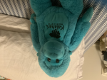 Mr. Monkey foundation